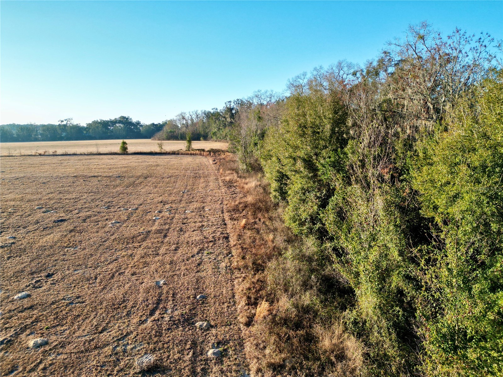 TBD NW Hwy 225a Ocala FL 34482 OM717886 image13