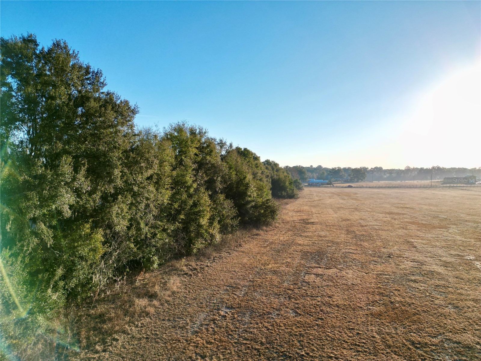 TBD NW Hwy 225a Ocala FL 34482 OM717886 image16