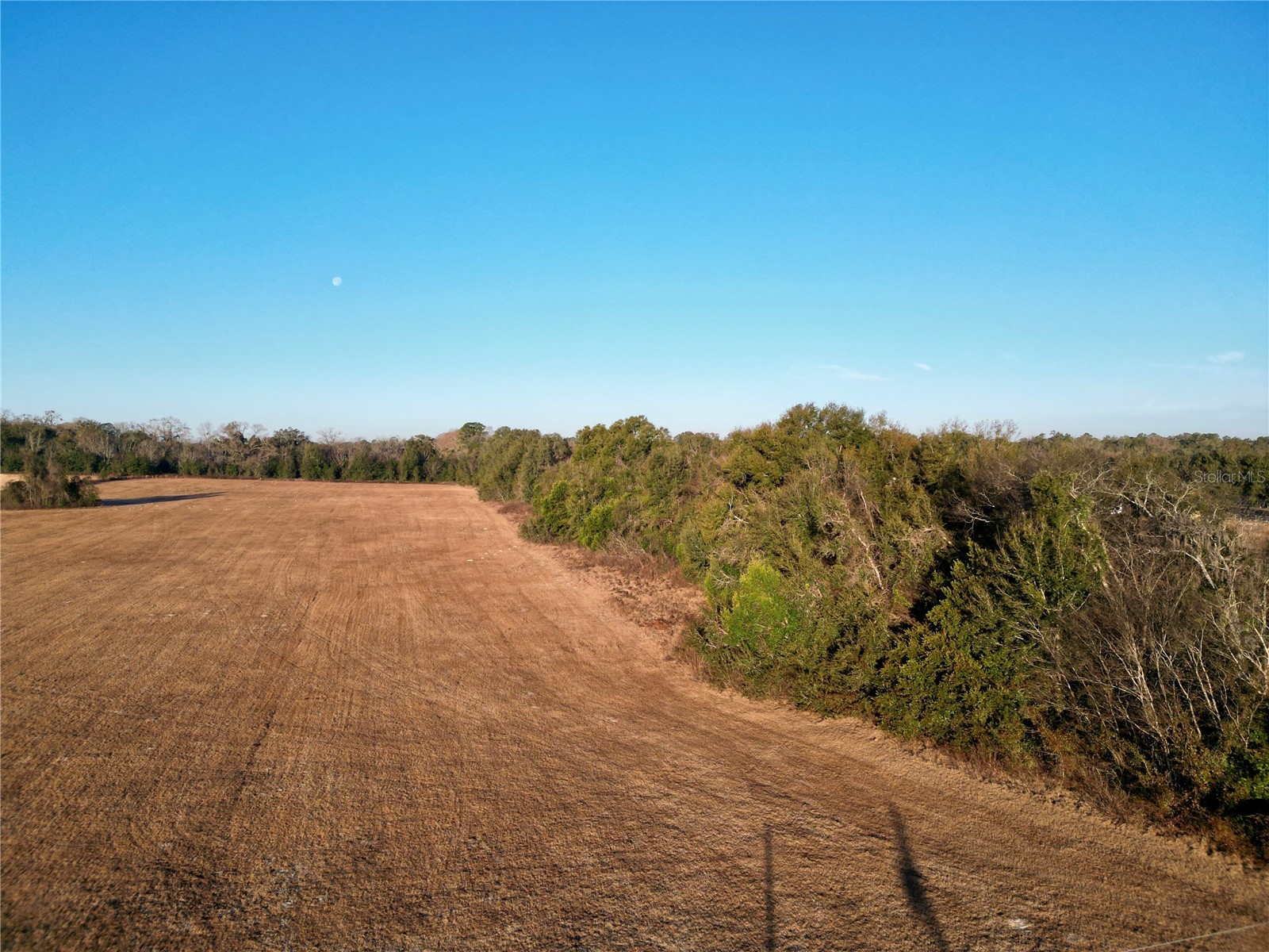 TBD NW Hwy 225a Ocala FL 34482 OM717886 image17