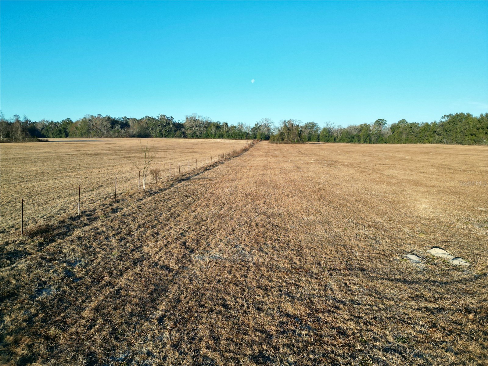 TBD NW Hwy 225a Ocala FL 34482 OM717886 image19
