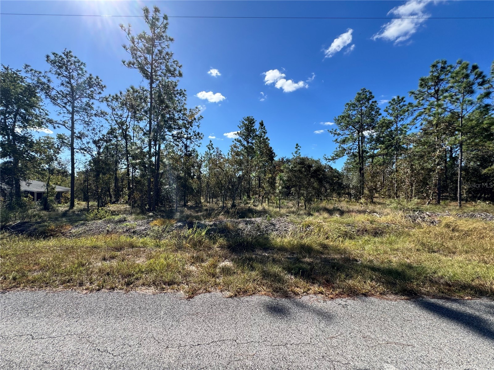 TBD NW Luna Avenue Dunnellon FL 34431 OM711910 image1