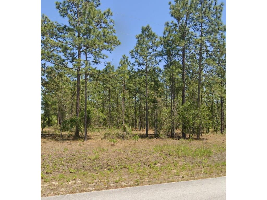 TBD NW Mandrake Dr Dunnellon FL 34431 GC524200 image1
