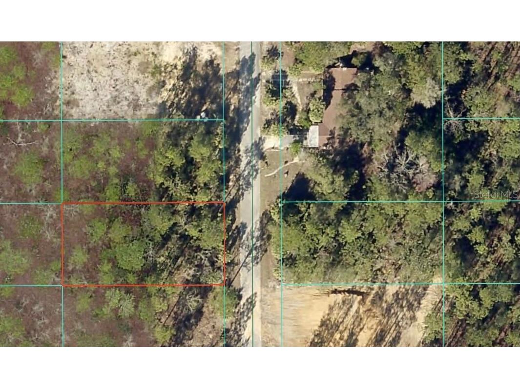 TBD NW Narcissus Road Dunnellon FL 34431 OM714942 image1