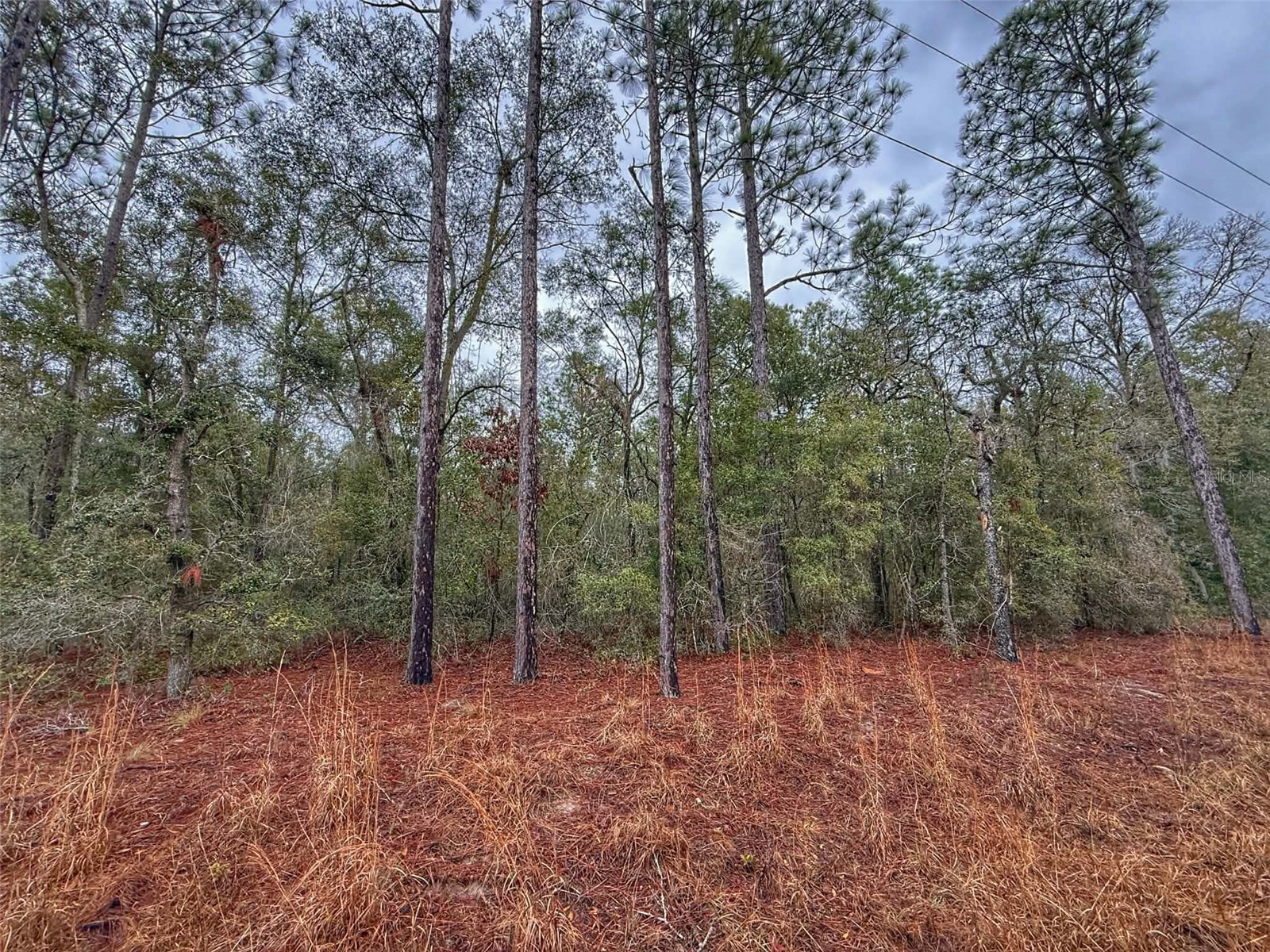 TBD NW Nw 18 Terrace Bell FL 32619 GC537576 image1