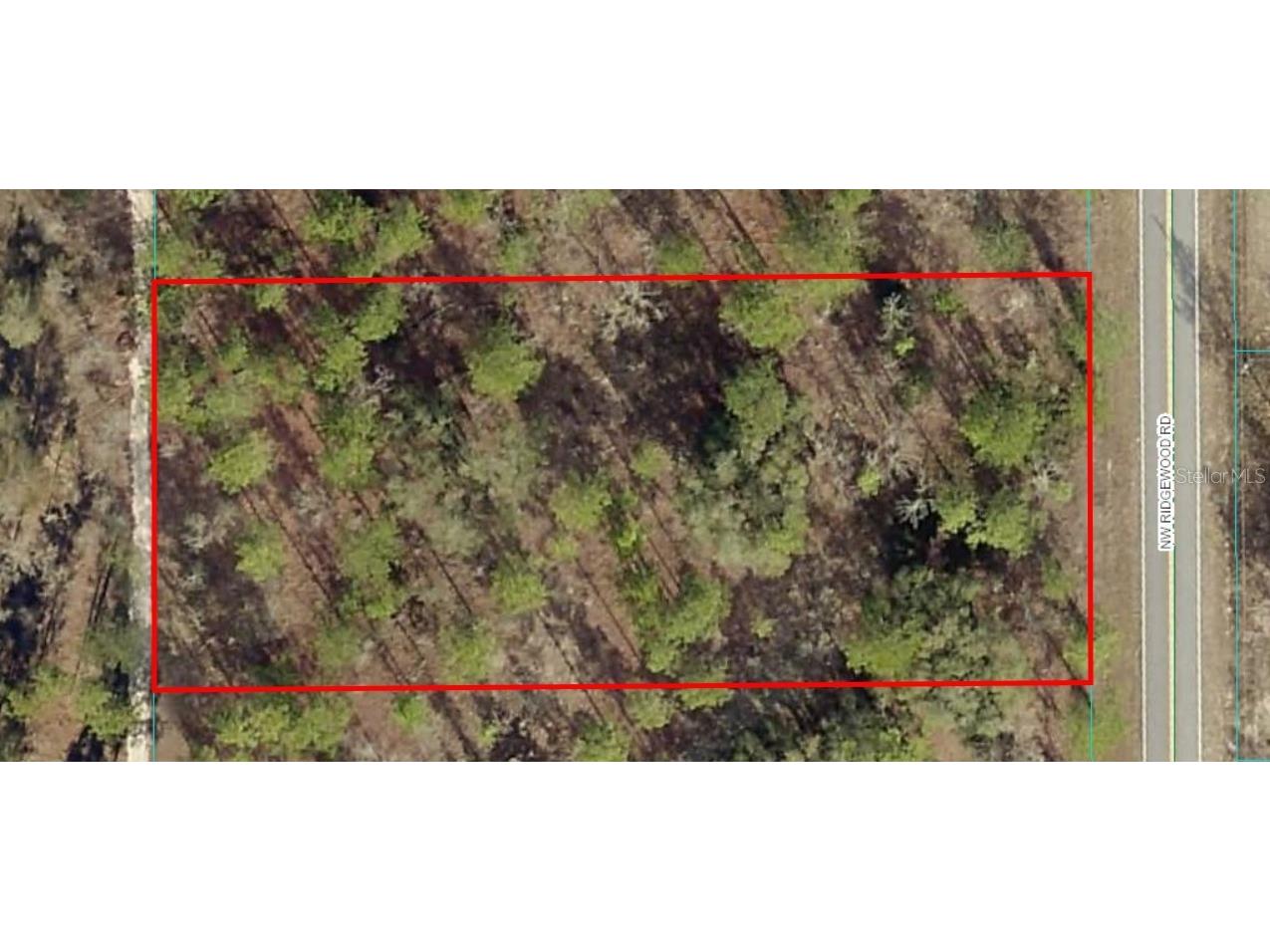 TBD NW Ridgewood Road Dunnellon FL 34431 OM678857 image1