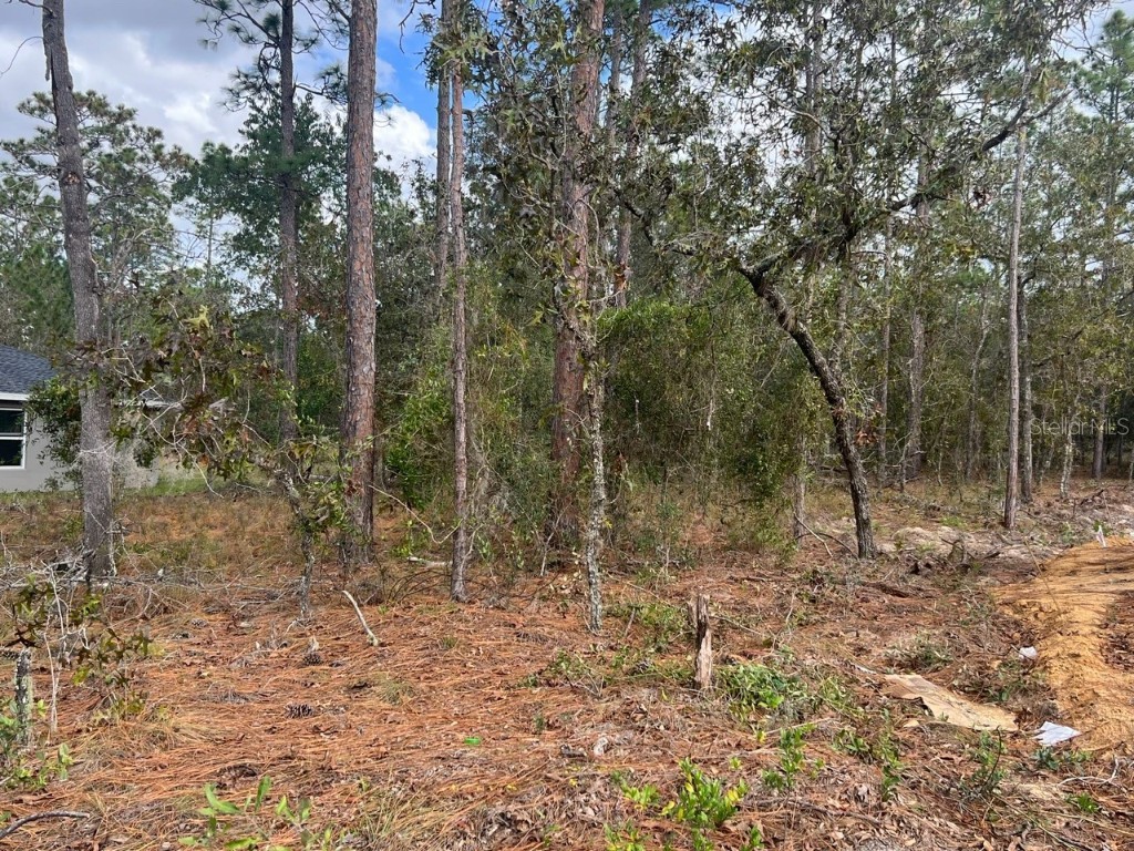 TBD NW Sparrow Road Dunnellon FL 34431 OM688590 image1