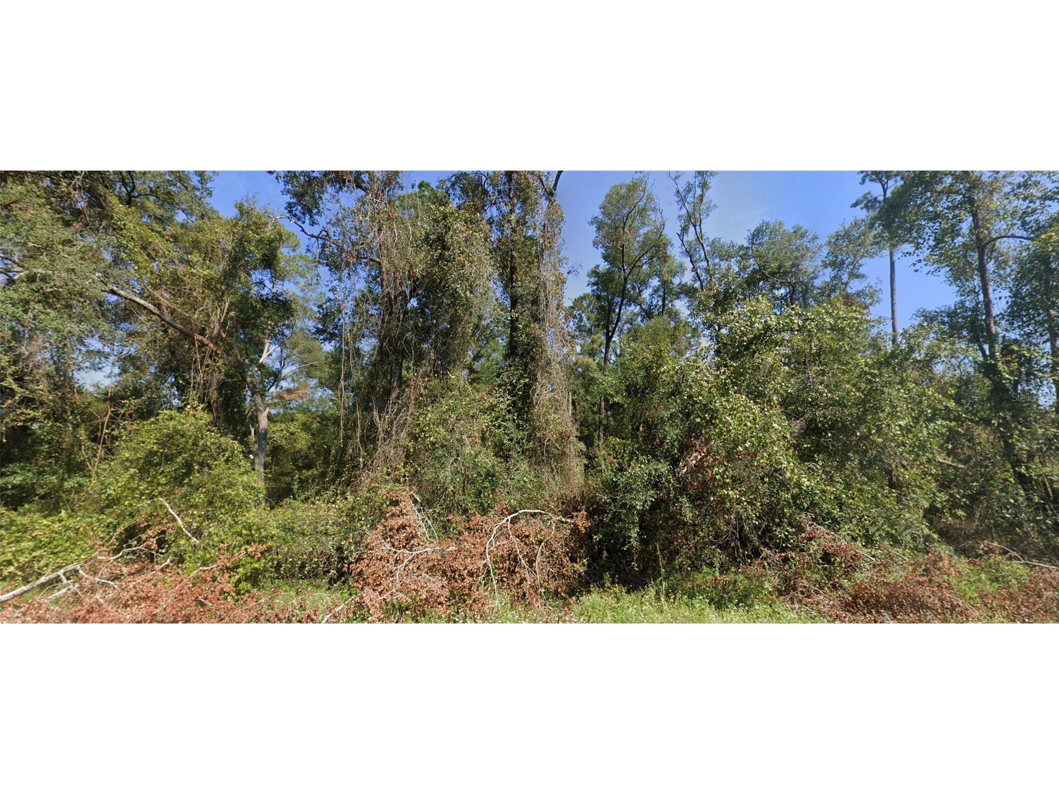 TBD Nw Suwannee Valley Road Lake City FL 32055 S5144722 image1