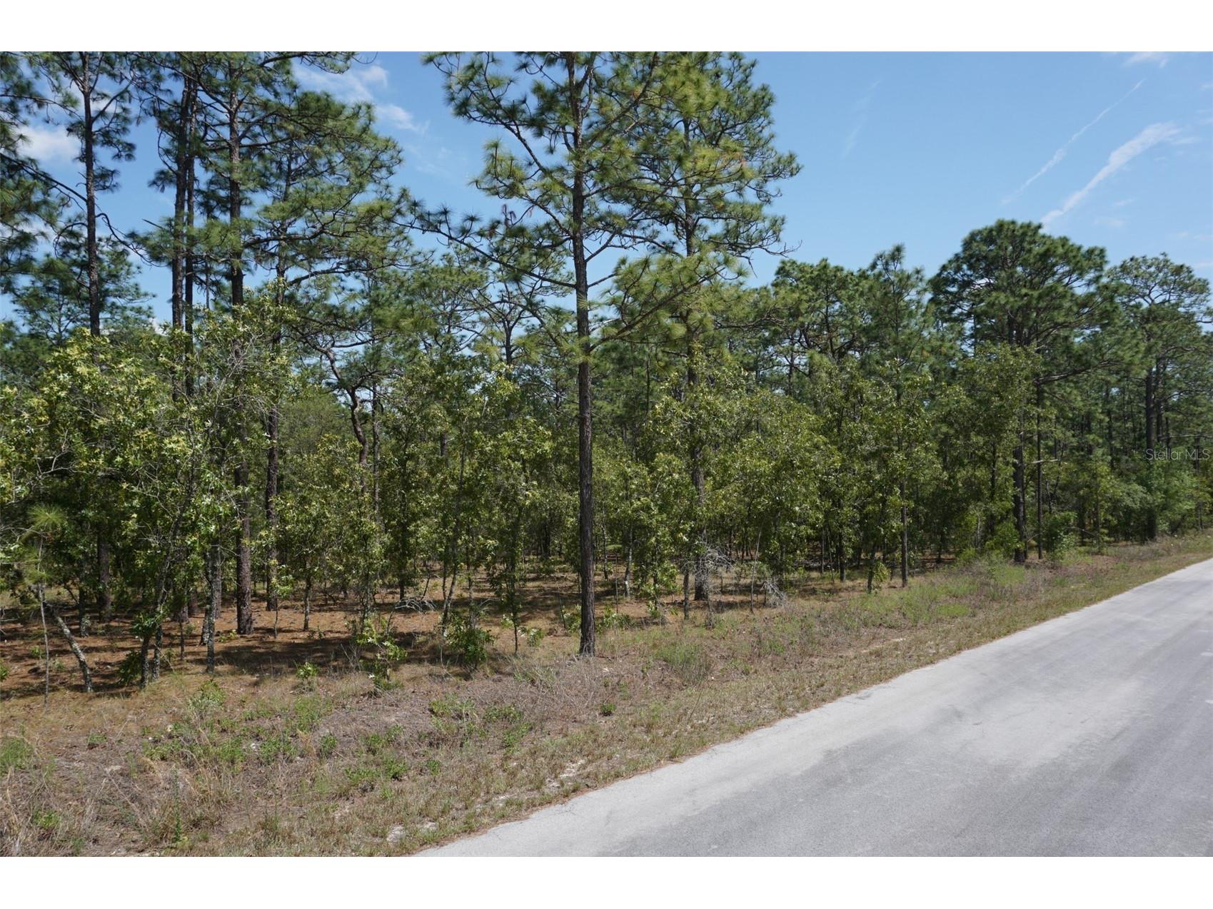 TBD NW Tree Top Road Dunnellon FL 34431 OM723836 image1
