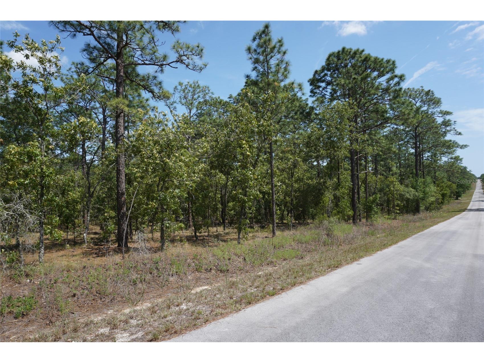 TBD NW Tree Top Road Dunnellon FL 34431 OM723836 image2