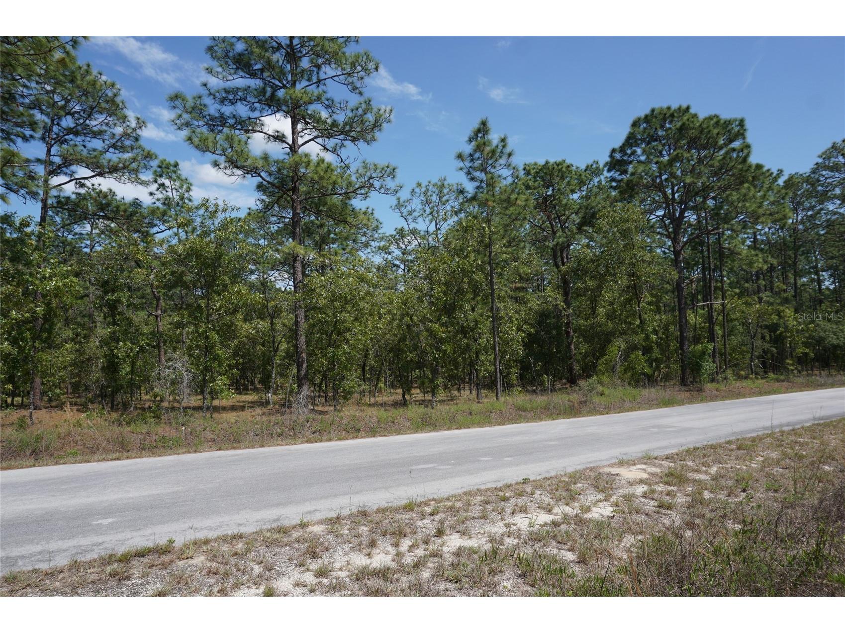 TBD NW Tree Top Road Dunnellon FL 34431 OM723836 image3