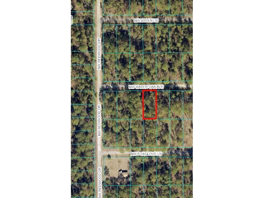 TBD NW Water Oak Avenue Dunnellon FL 34431 OM649978 image1