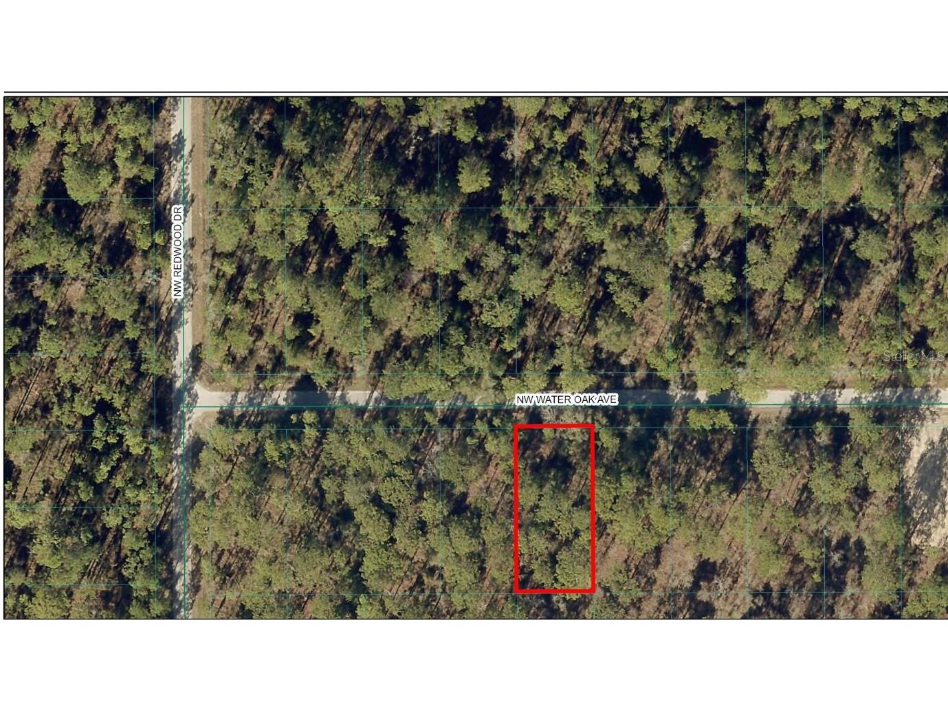 TBD NW Water Oak Avenue Dunnellon FL 34431 OM694743 image1