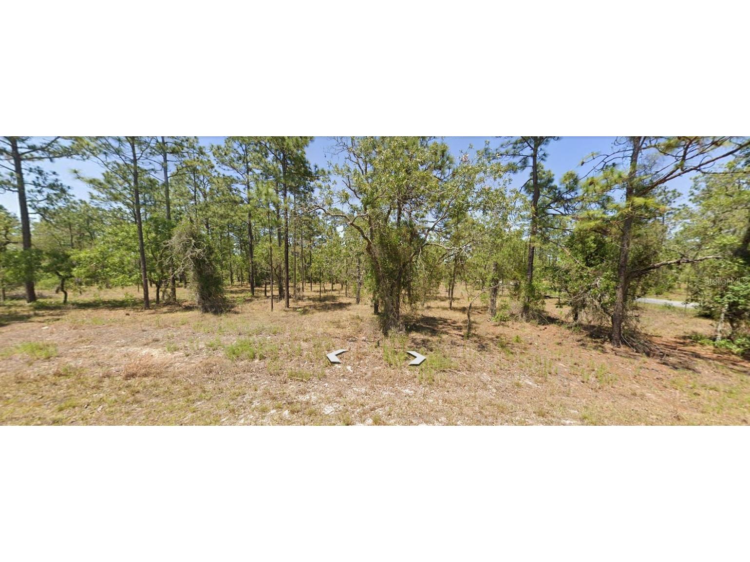 TBD NW Wateroak Avenue Dunnellon FL 34431 OK223573 image1