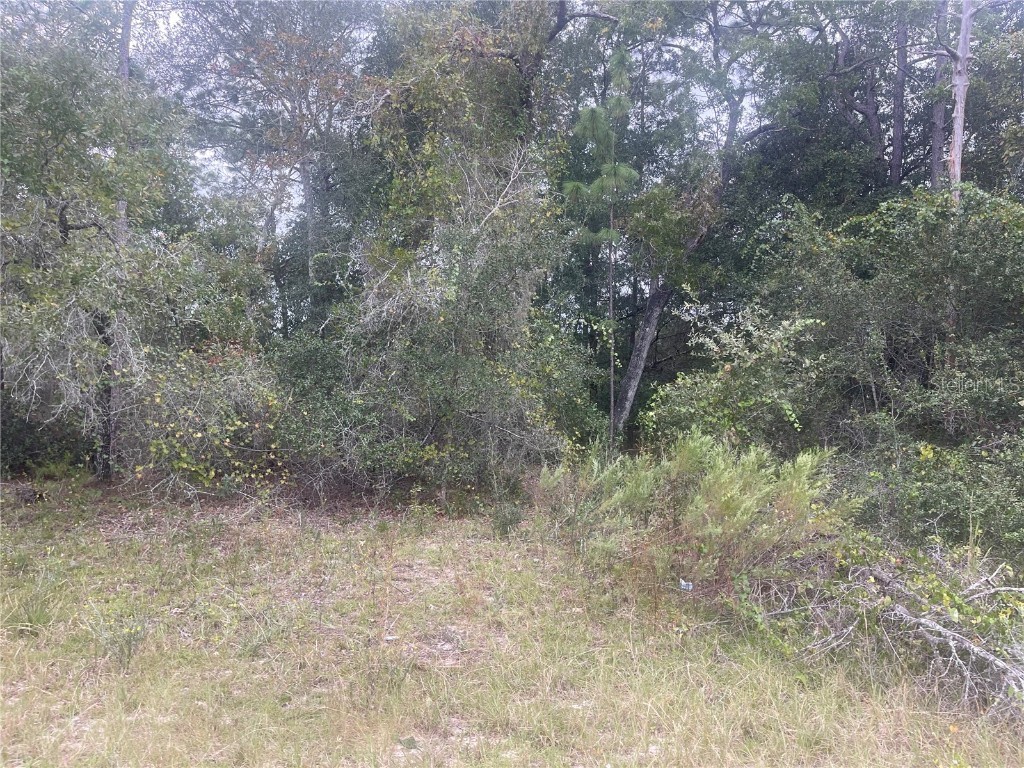 TBD Oak Cir Ocala FL 34472 OM666200 image1