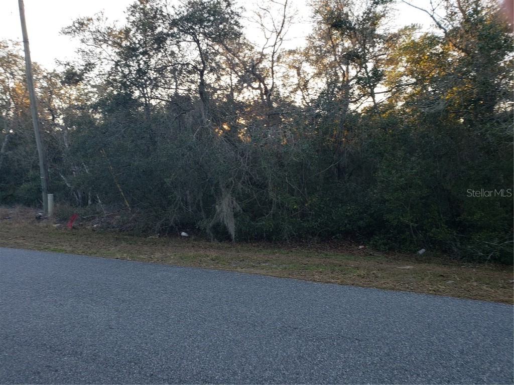 TBD Oak Circle Ocala FL 34472 OM651618 image1