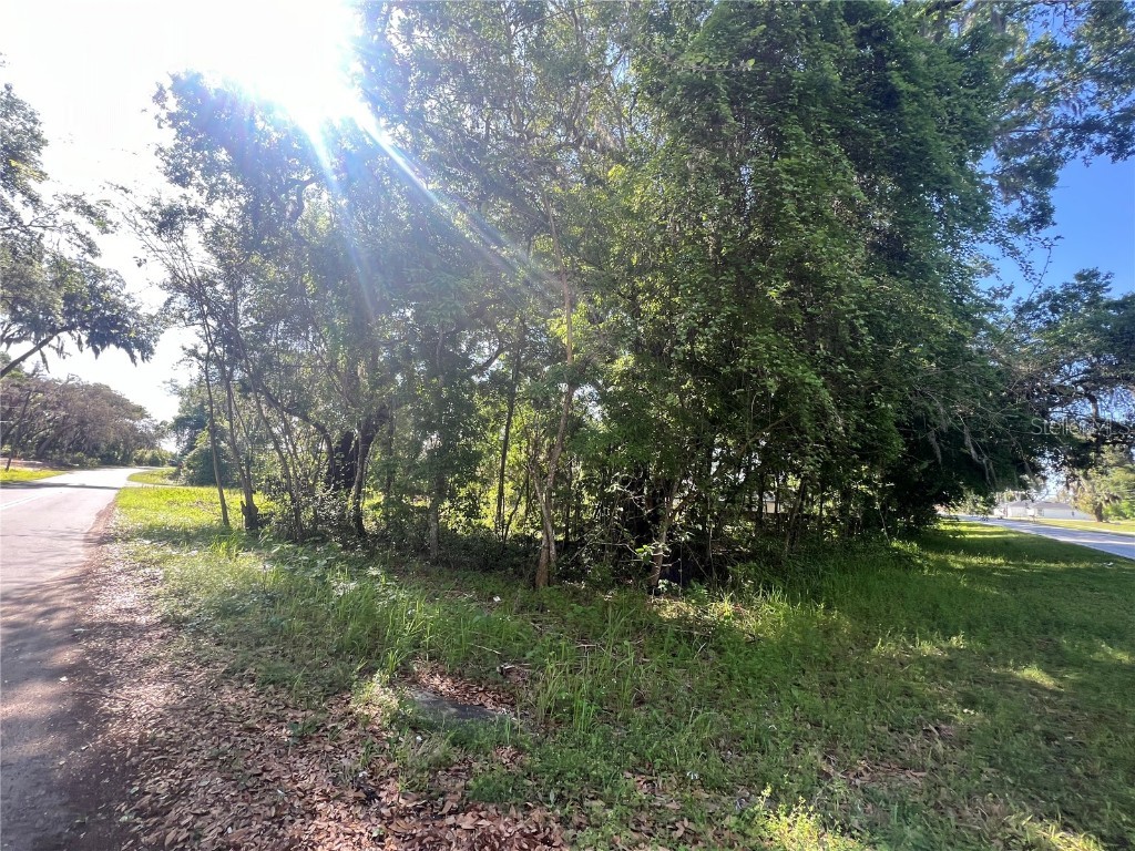TBD Oak Circle Ocala FL 34472 OM675686 image1