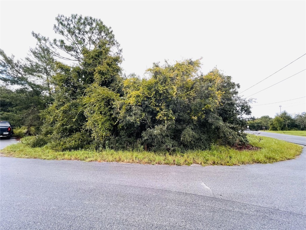 TBD Oak Circle Trail Ocala FL 34472 OM684089 image1