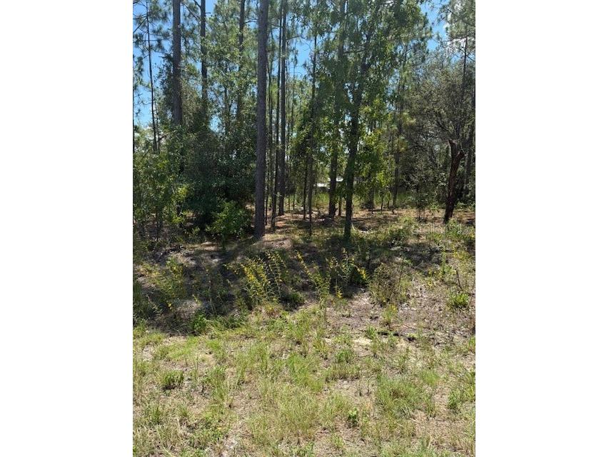 TBD Oak Lane Circle Ocala FL 34472 OM705313 image1