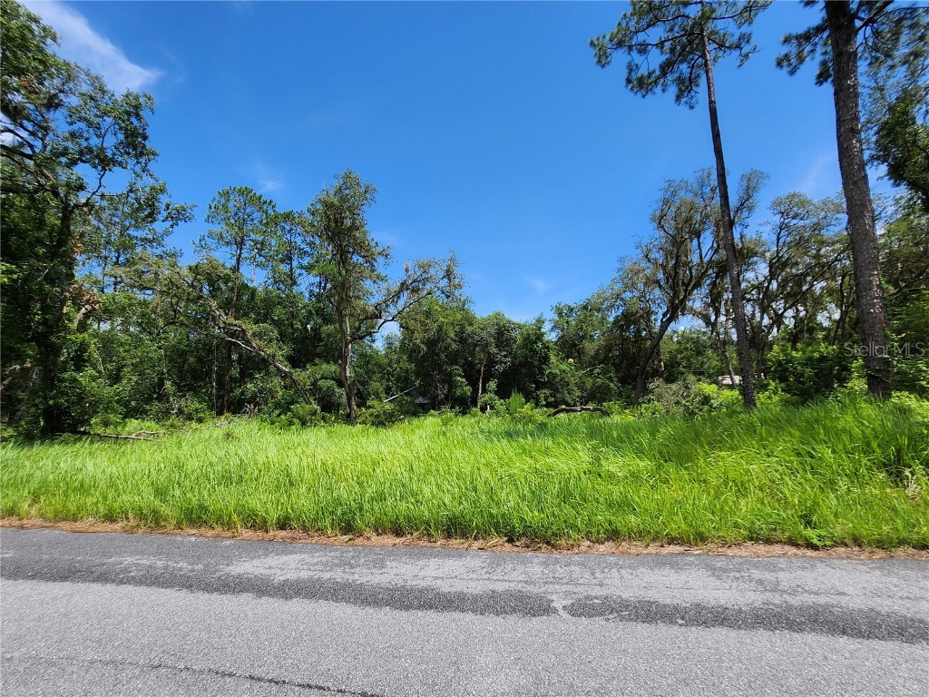 TBD Oak Lane Way Ocala FL 34472 OM705484 image1