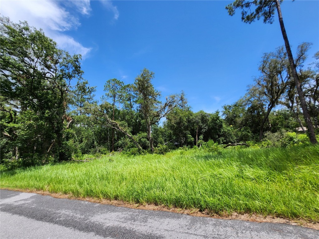 TBD Oak Lane Way Ocala FL 34472 OM705484 image2