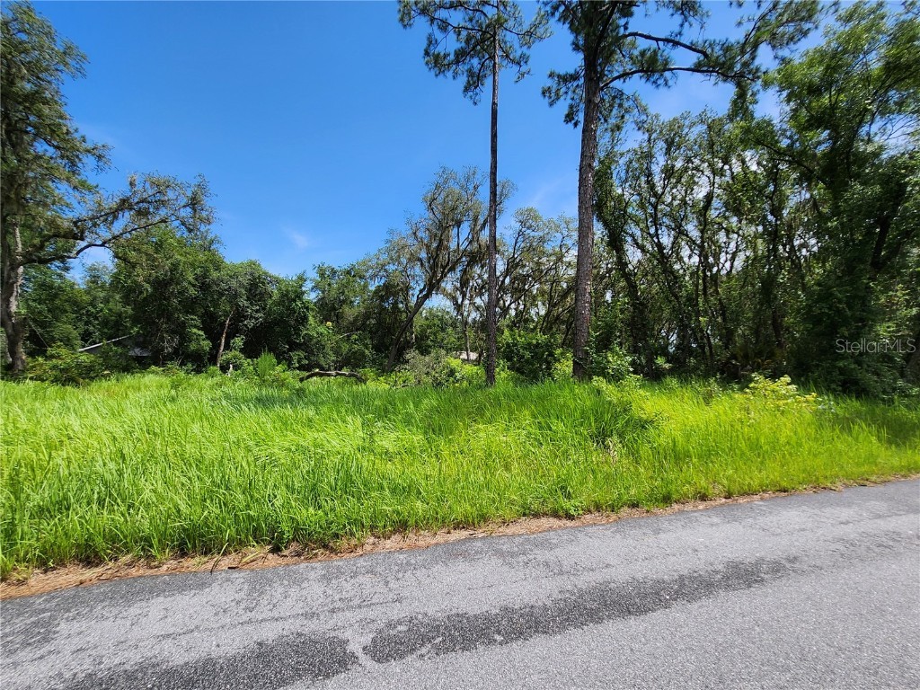 TBD Oak Lane Way Ocala FL 34472 OM705484 image3