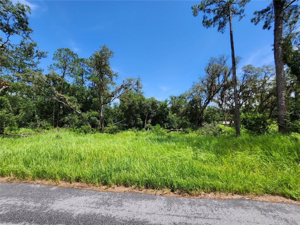 TBD Oak Lane Way Ocala FL 34472 OM705484 image4