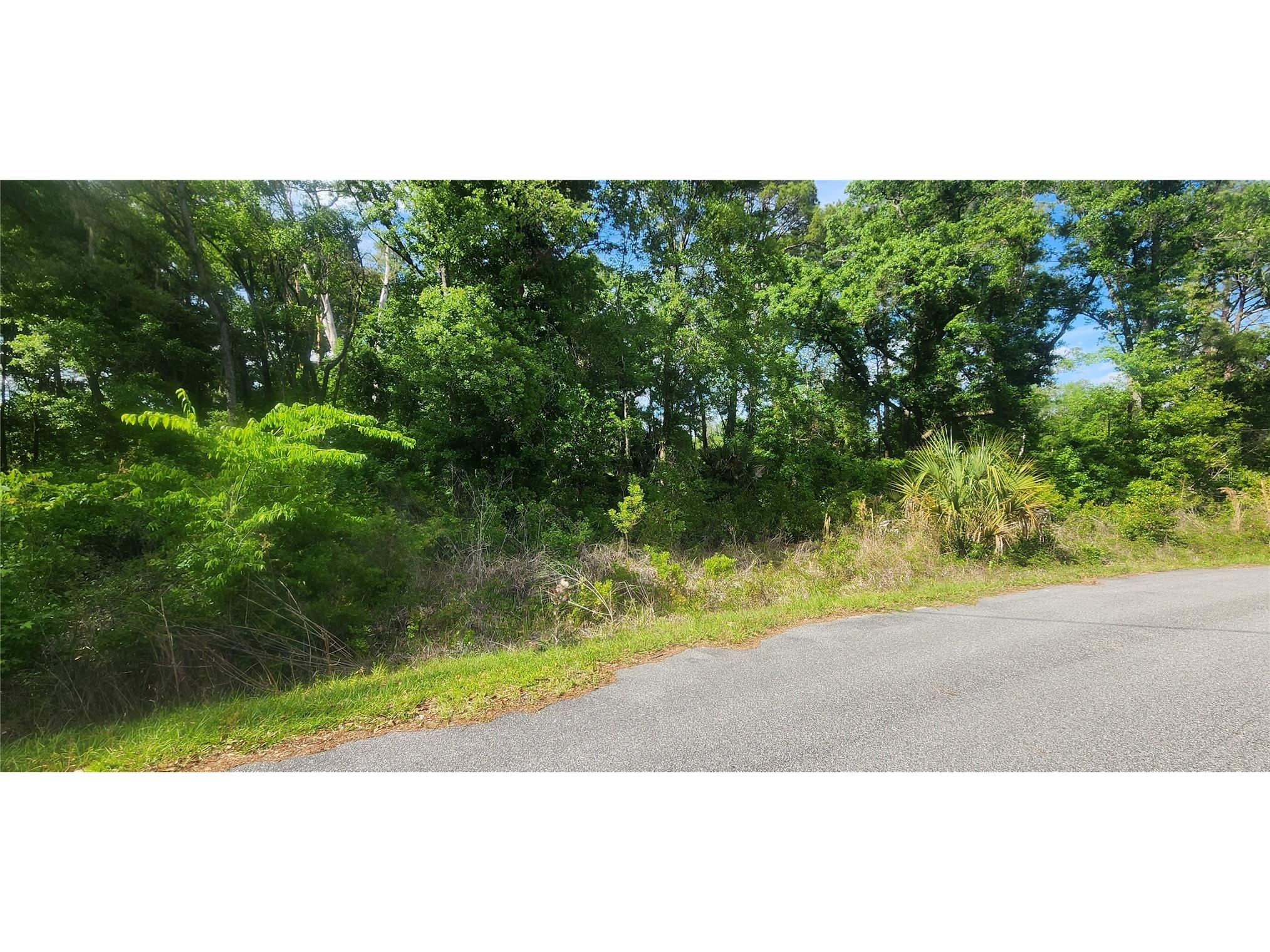TBD Oak Lane Way Ocala FL 34472 OM717723 image6