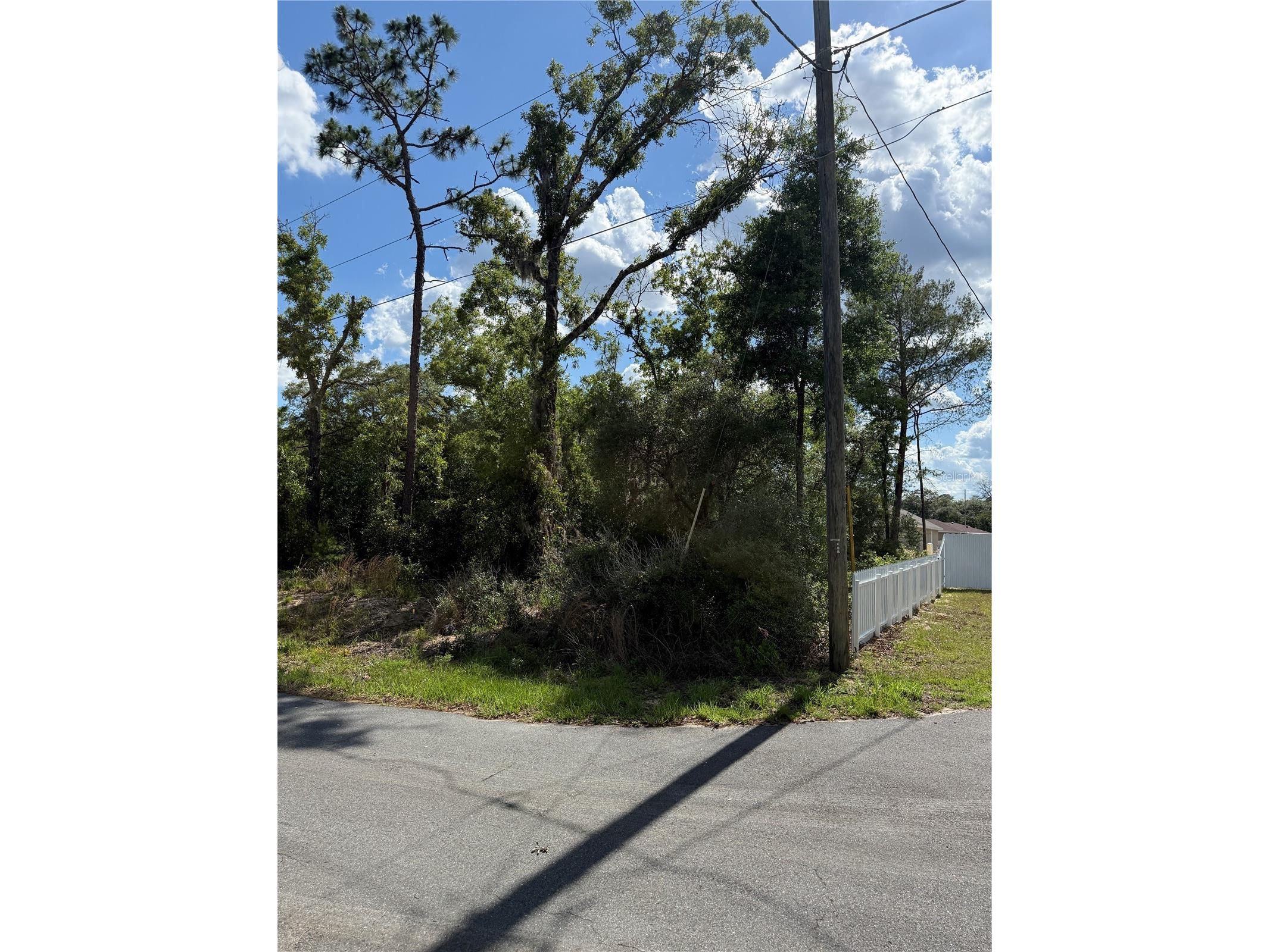 TBD Oak Pass Run Ocala FL 34472 OM724925 image10