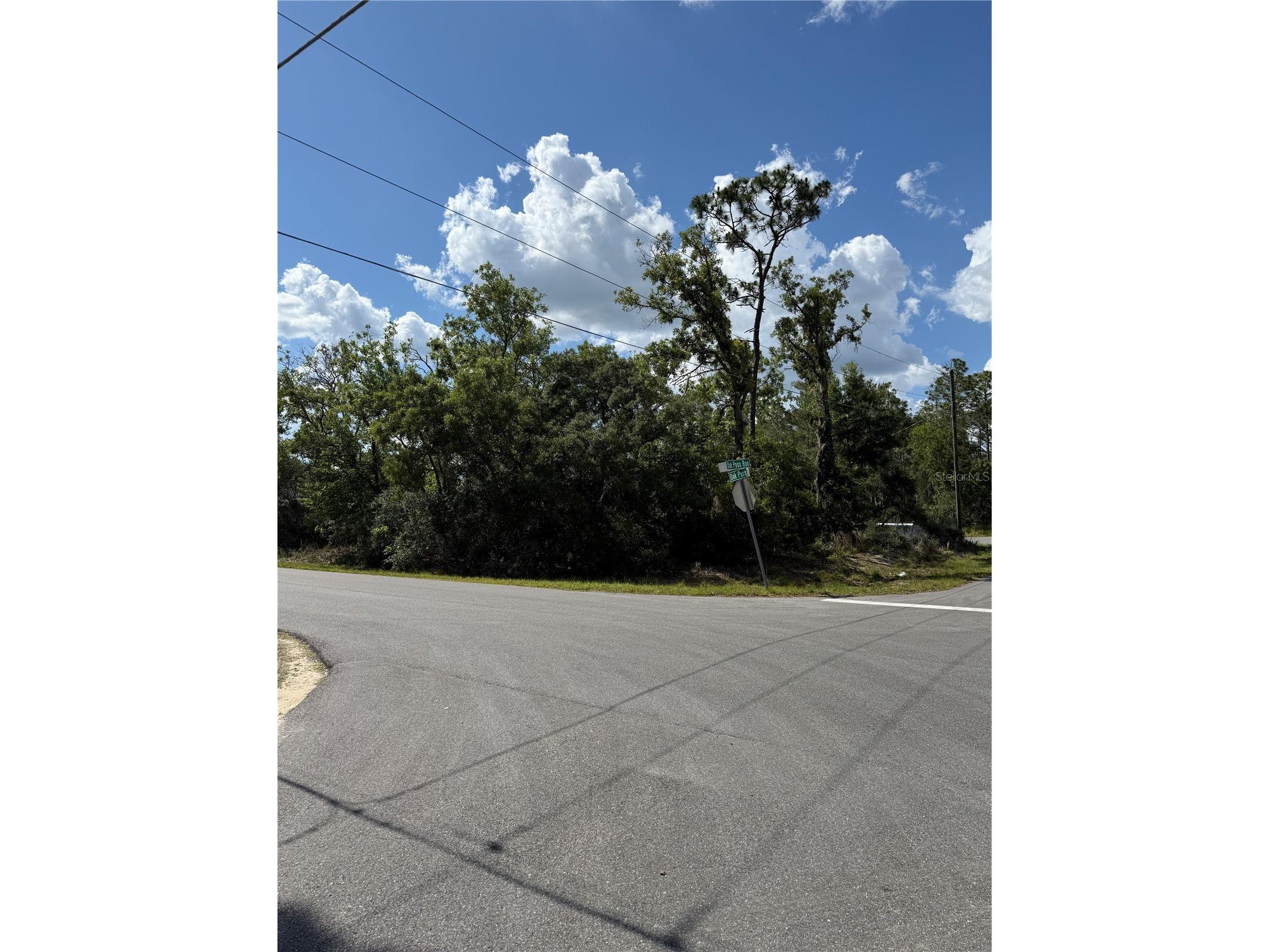 TBD Oak Pass Run Ocala FL 34472 OM724925 image11
