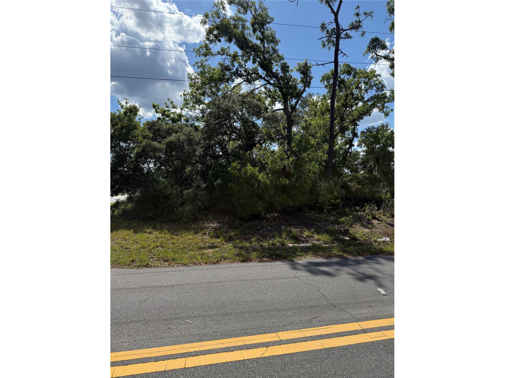 TBD Oak Pass Run Ocala FL 34472 OM724925 image12