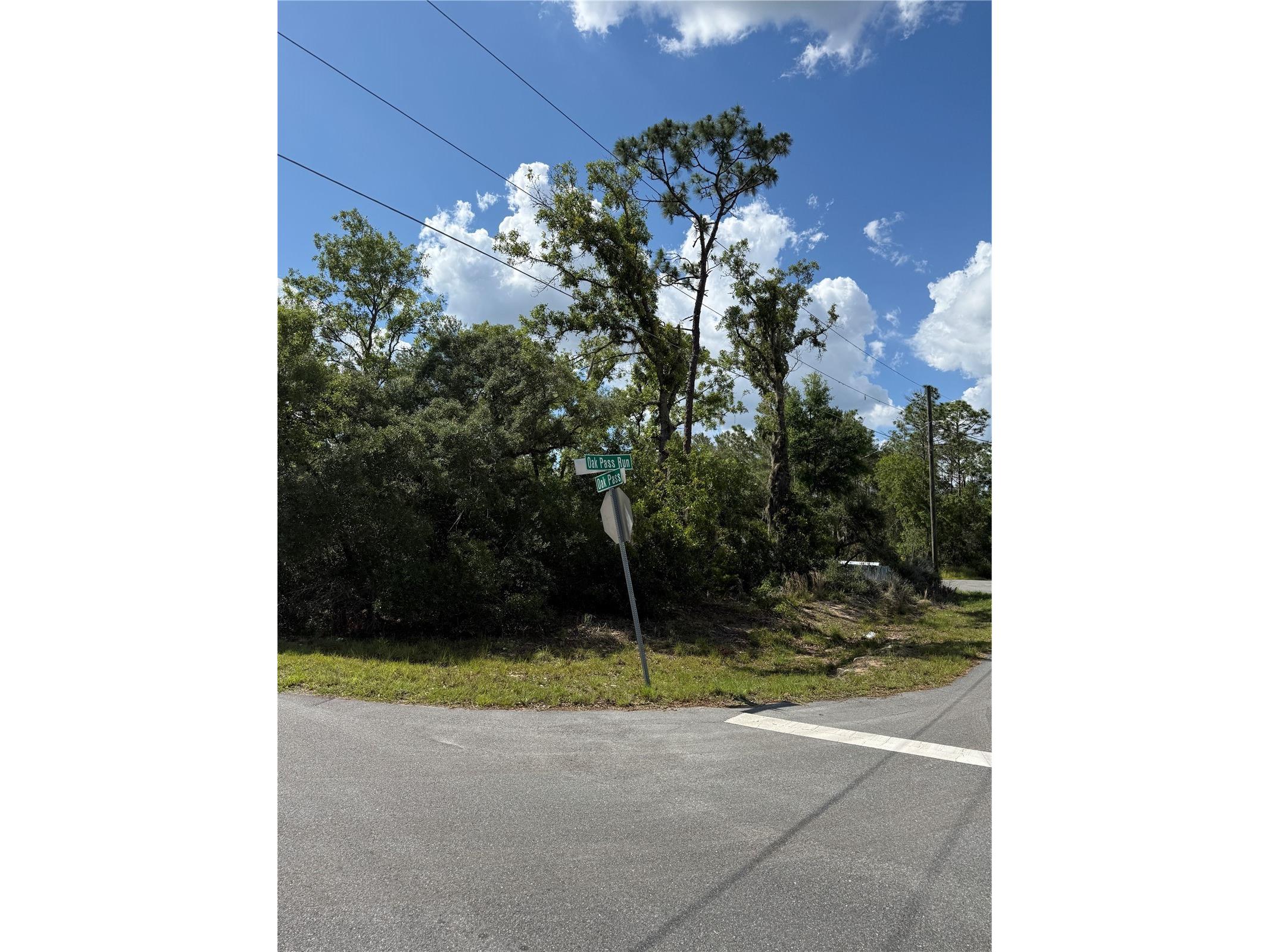 TBD Oak Pass Run Ocala FL 34472 OM724925 image4