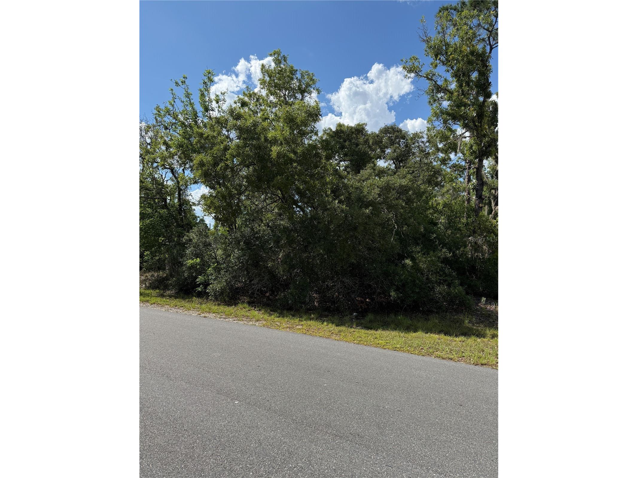 TBD Oak Pass Run Ocala FL 34472 OM724925 image5