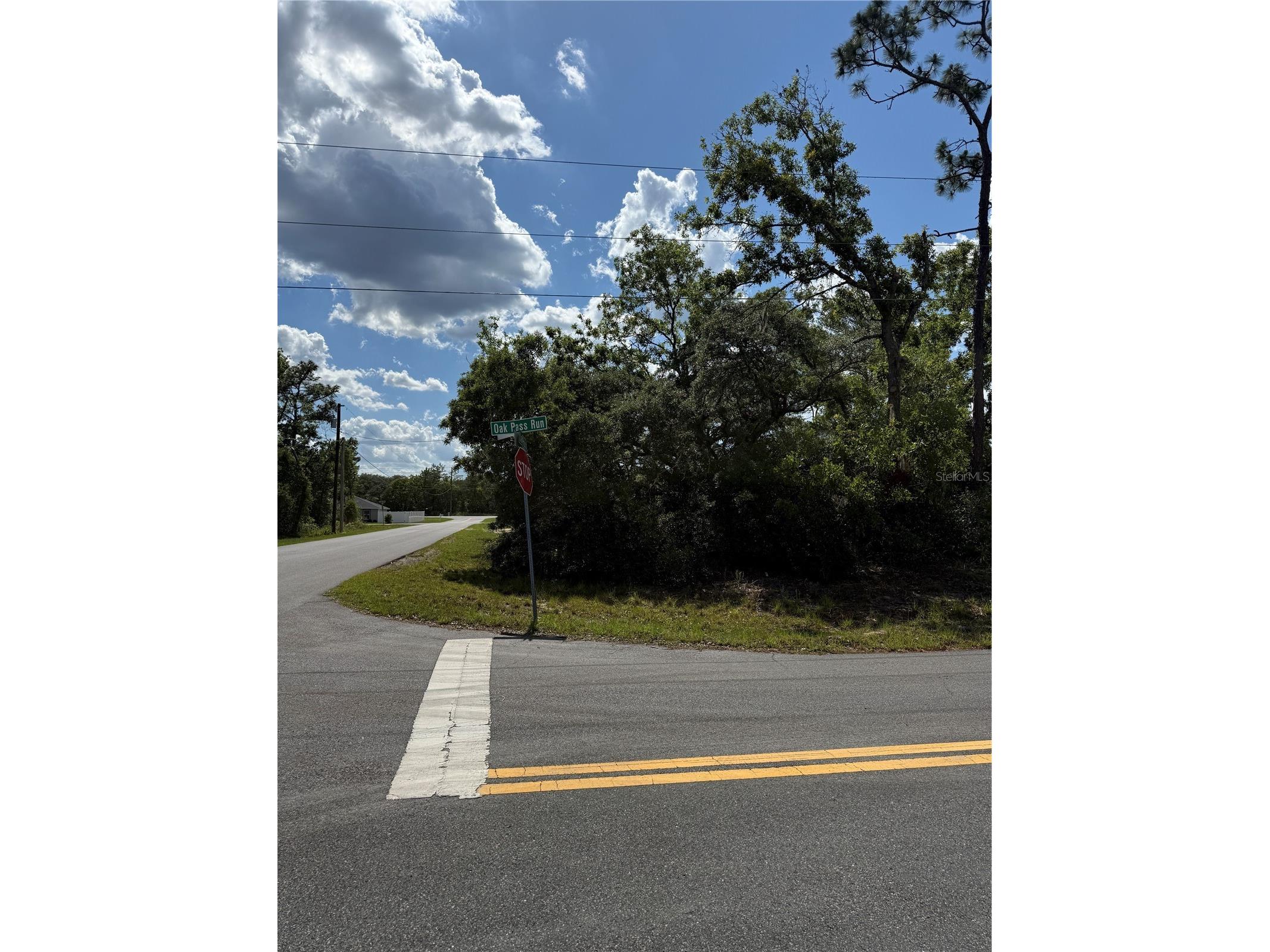 TBD Oak Pass Run Ocala FL 34472 OM724925 image6