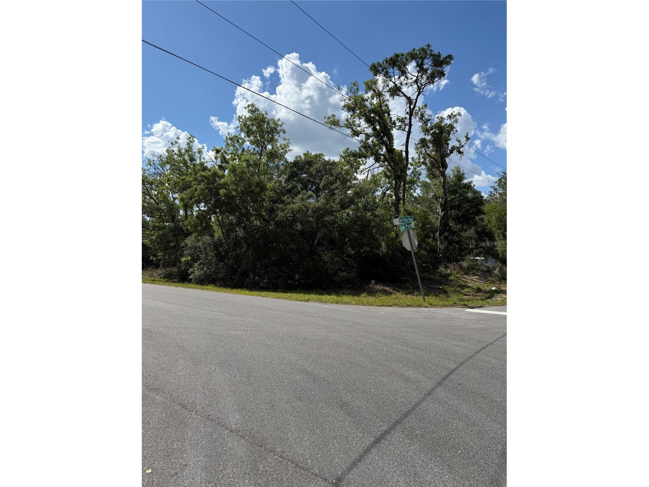 TBD Oak Pass Run Ocala FL 34472 OM724925 image7