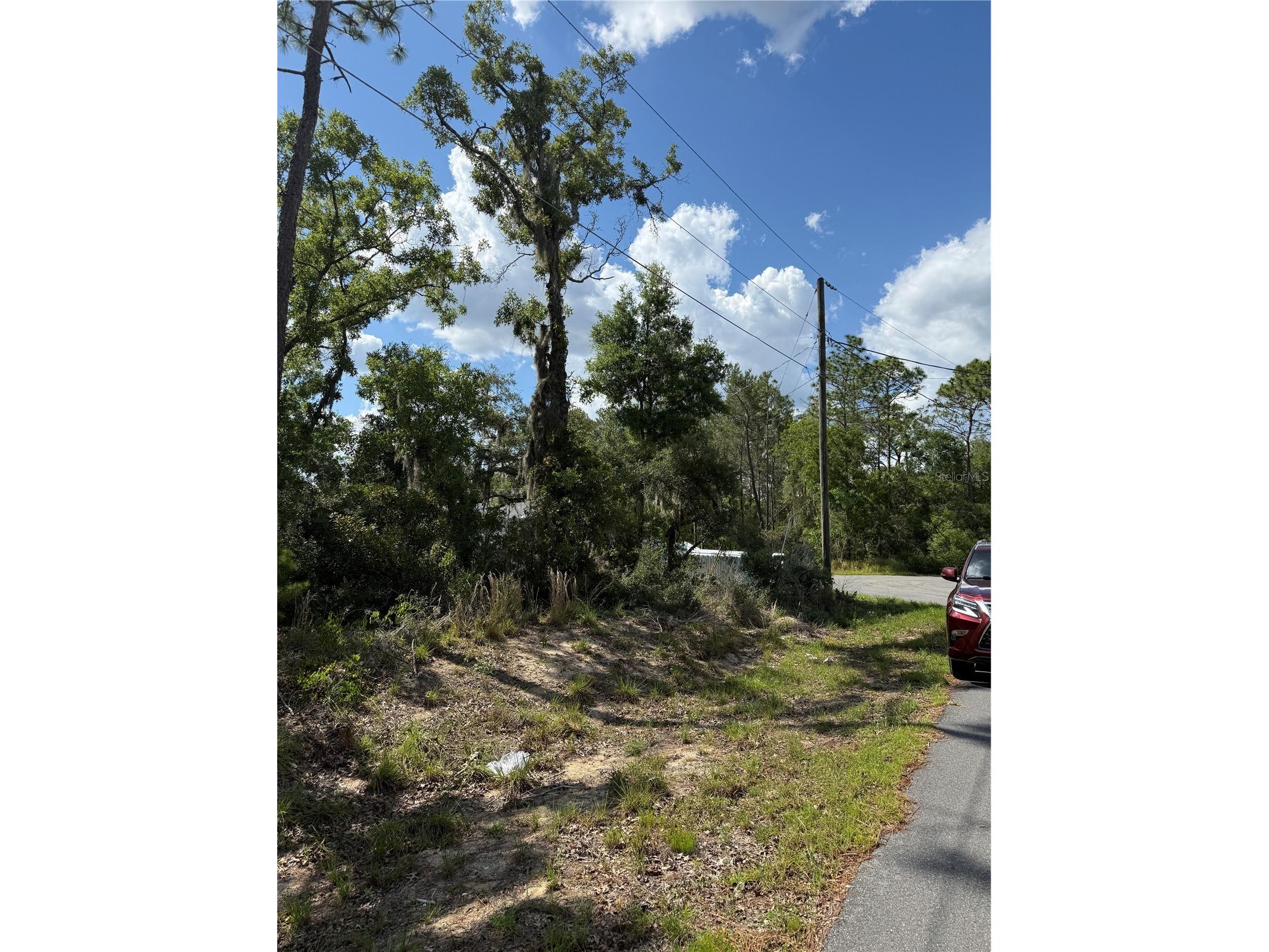 TBD Oak Pass Run Ocala FL 34472 OM724925 image8