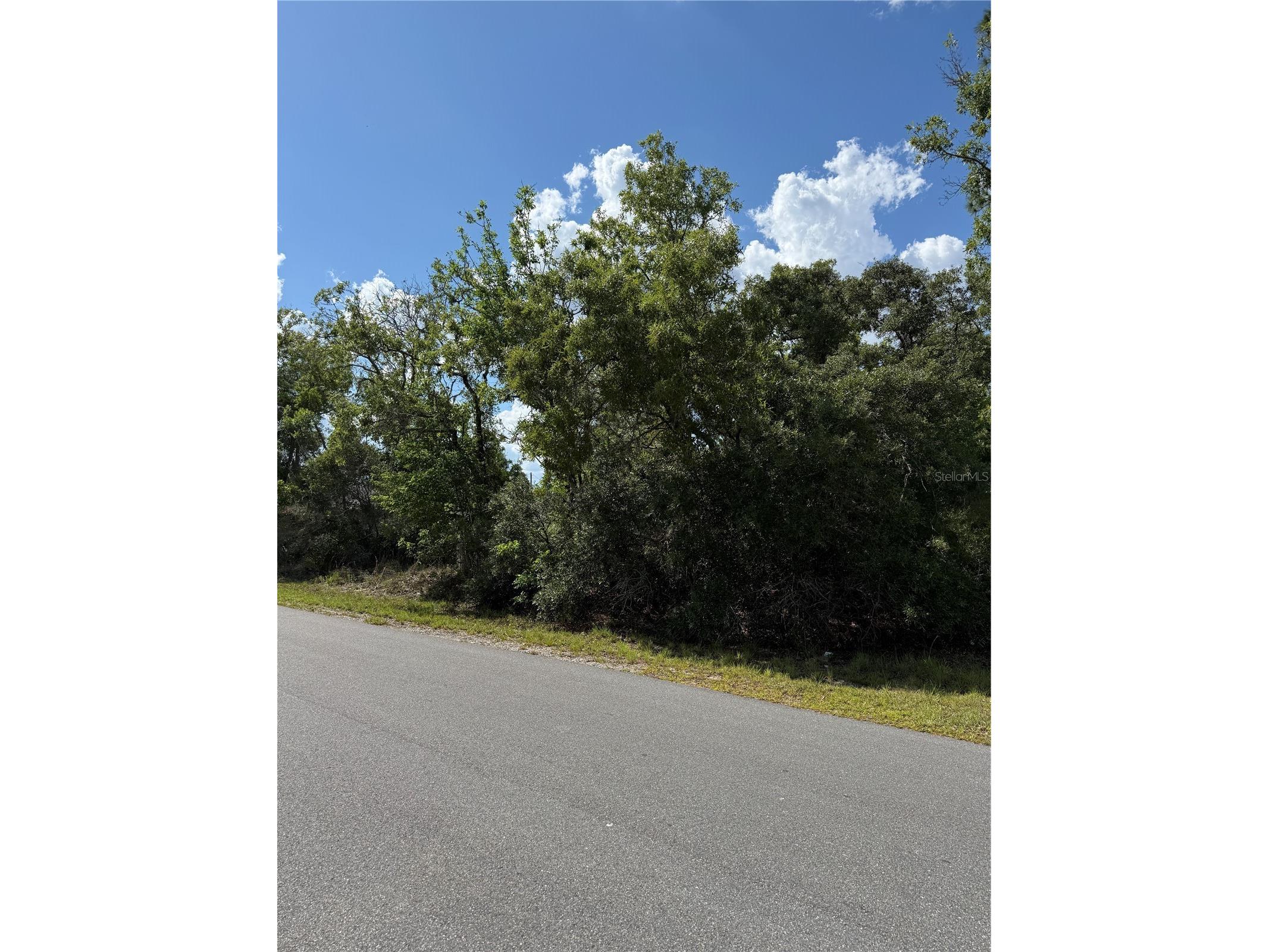 TBD Oak Pass Run Ocala FL 34472 OM724925 image9