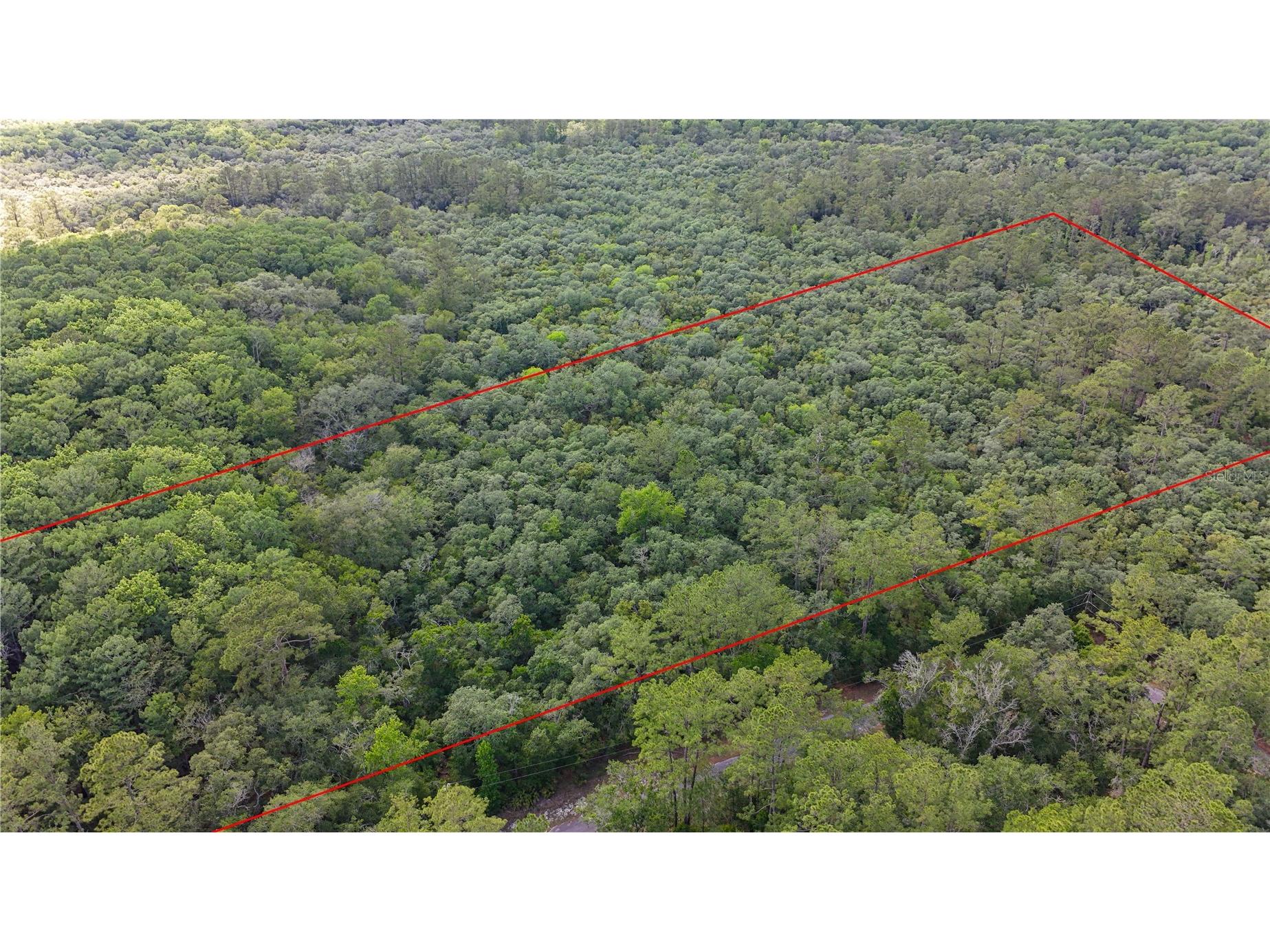 TBD Off Riverview Road #9 Fanning Springs FL 32693 - SUWANNEE RIVER OM719537 image11