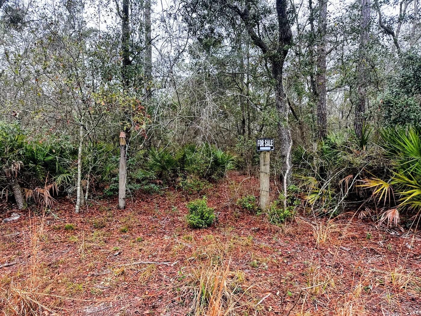 TBD Off Riverview Road #9 Fanning Springs FL 32693 - SUWANNEE RIVER OM719537 image12