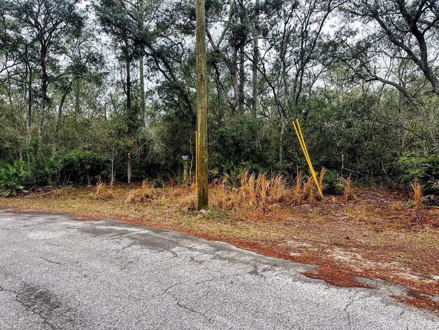 TBD Off Riverview Road #9 Fanning Springs FL 32693 - SUWANNEE RIVER OM719537 image13