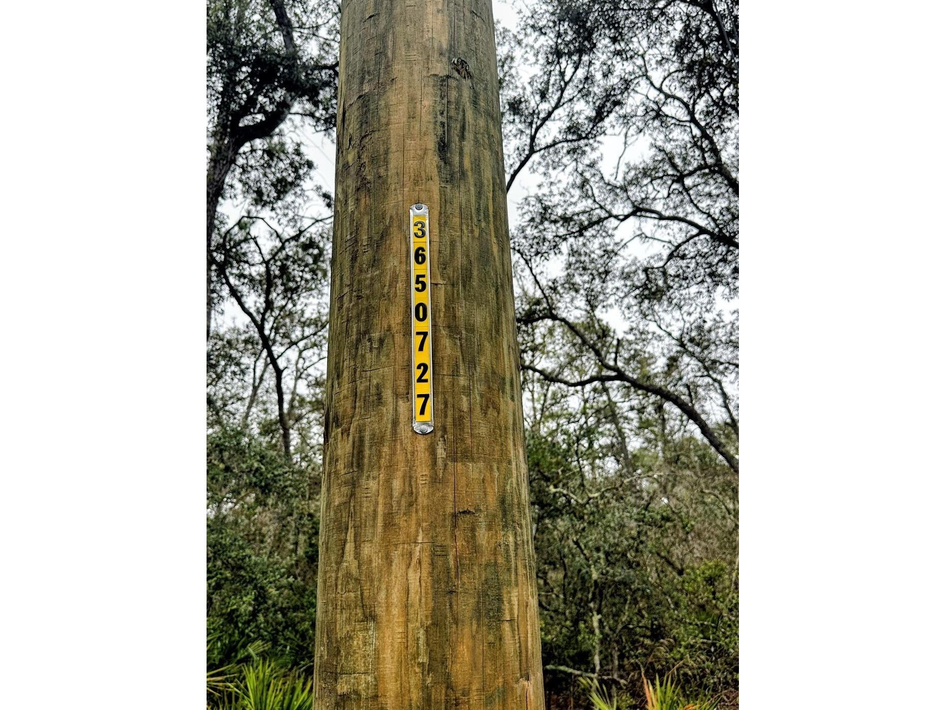 TBD Off Riverview Road #9 Fanning Springs FL 32693 - SUWANNEE RIVER OM719537 image14