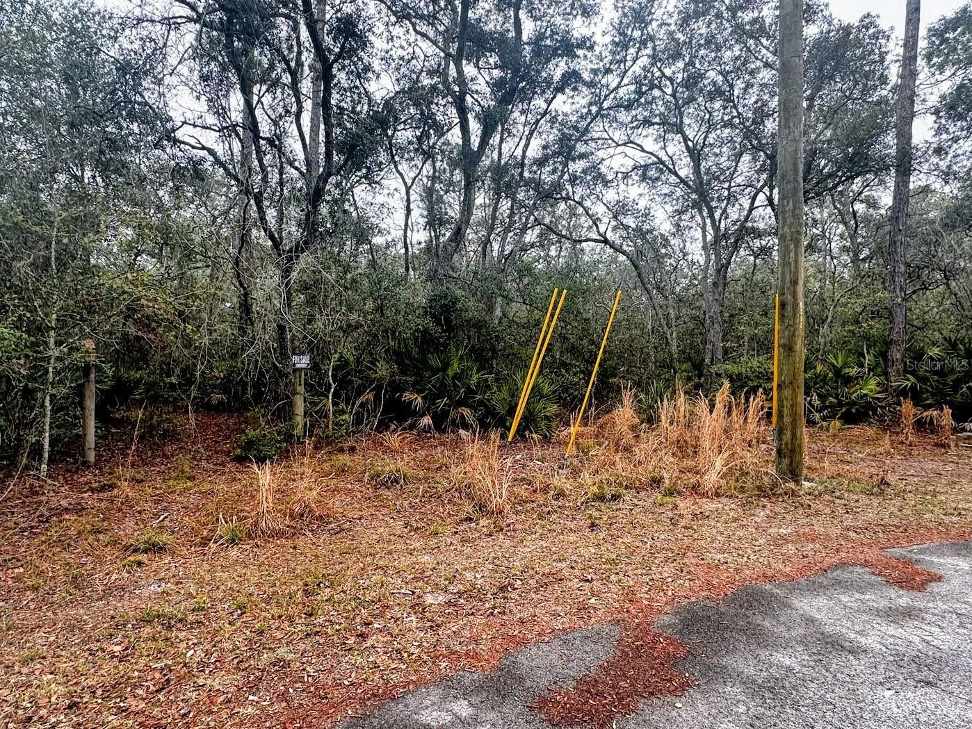 TBD Off Riverview Road #9 Fanning Springs FL 32693 - SUWANNEE RIVER OM719537 image15