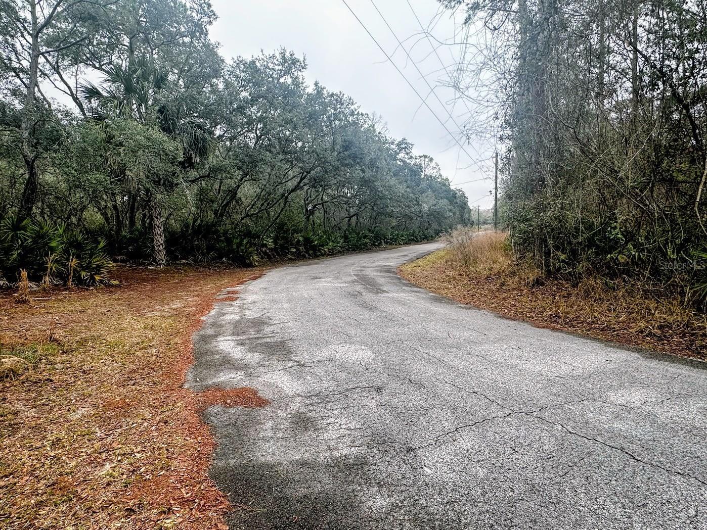 TBD Off Riverview Road #9 Fanning Springs FL 32693 - SUWANNEE RIVER OM719537 image16