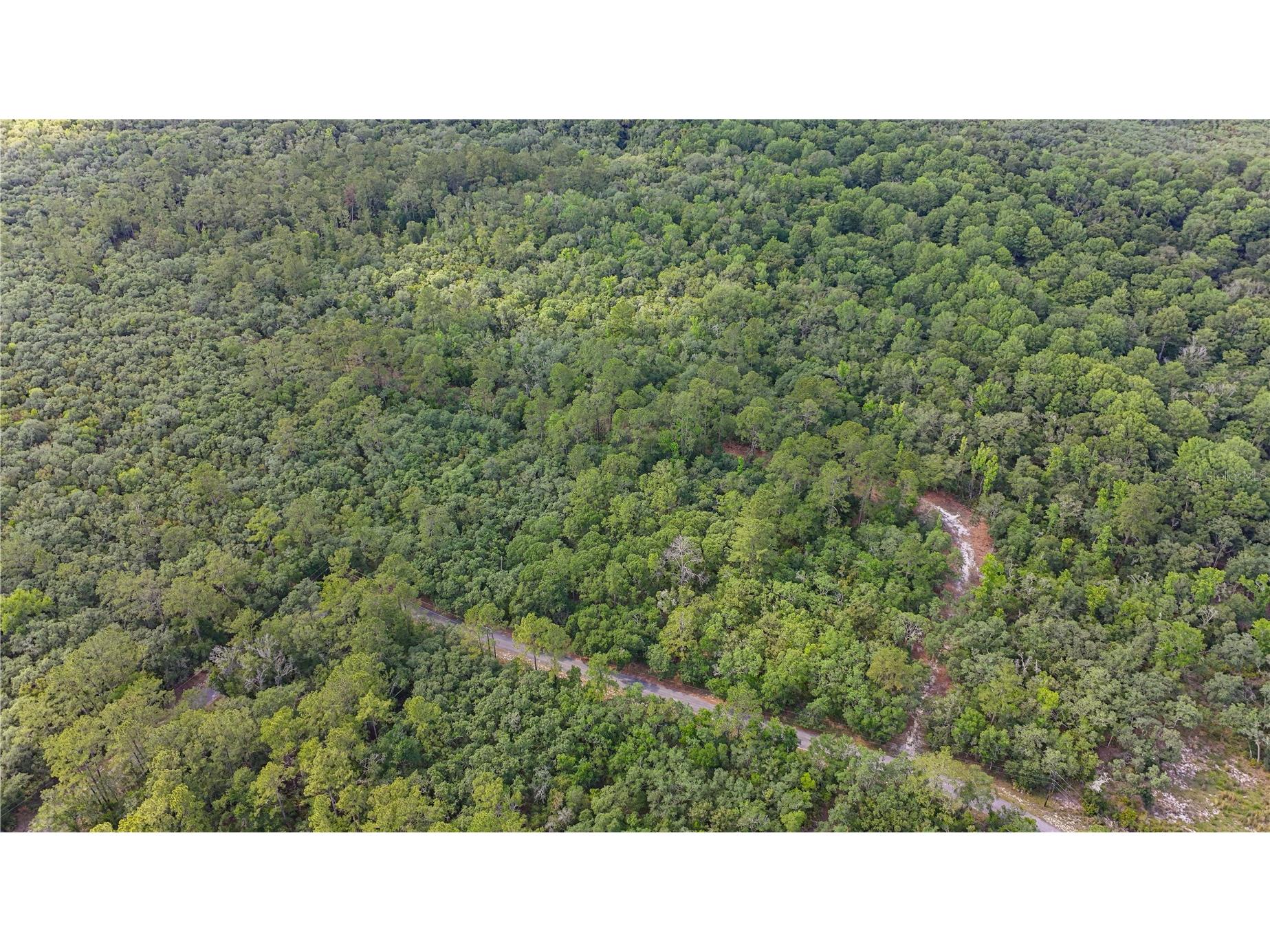 TBD Off Riverview Road #9 Fanning Springs FL 32693 - SUWANNEE RIVER OM719537 image17