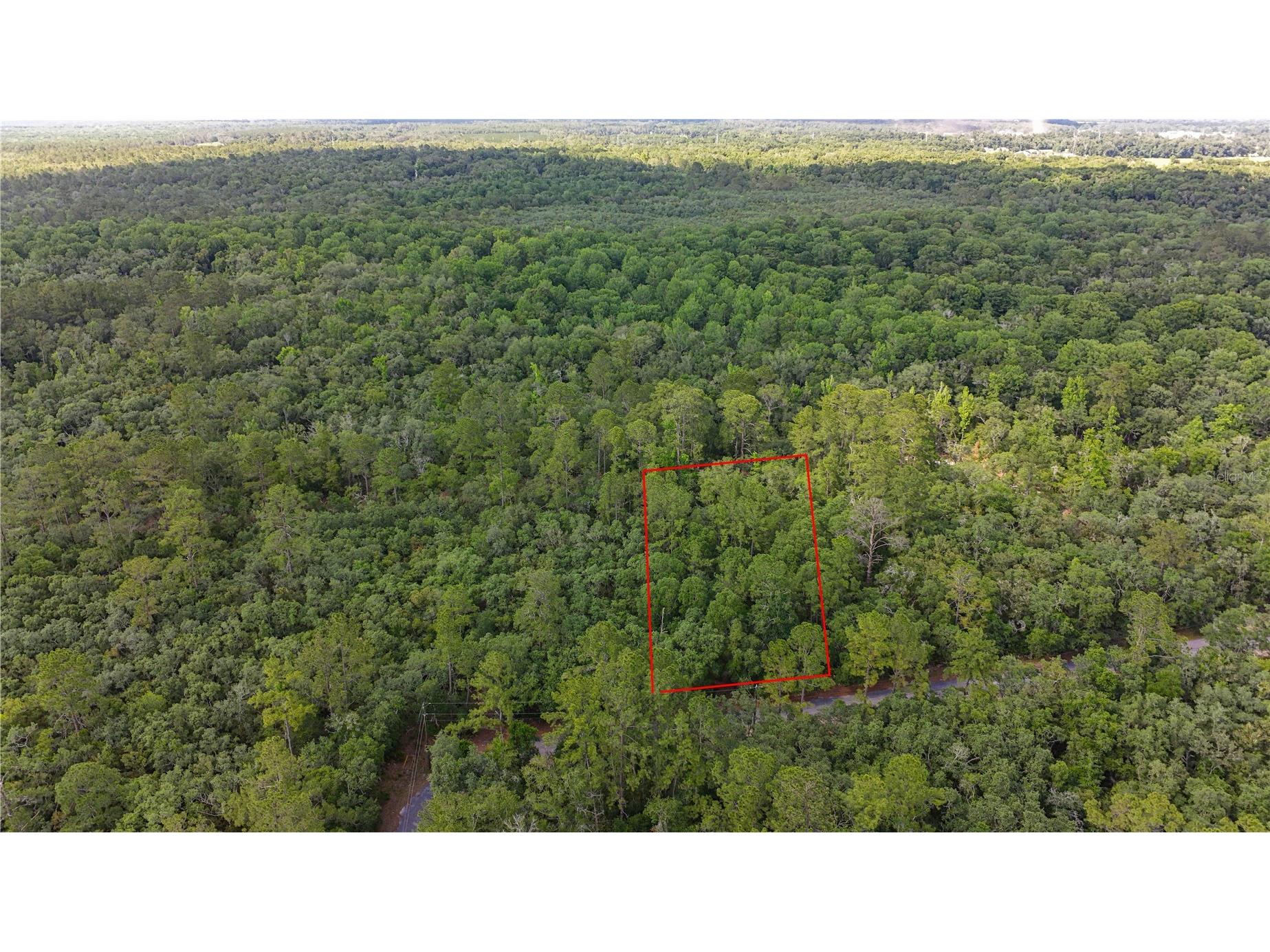 TBD Off Riverview Road #9 Fanning Springs FL 32693 - SUWANNEE RIVER OM719537 image19