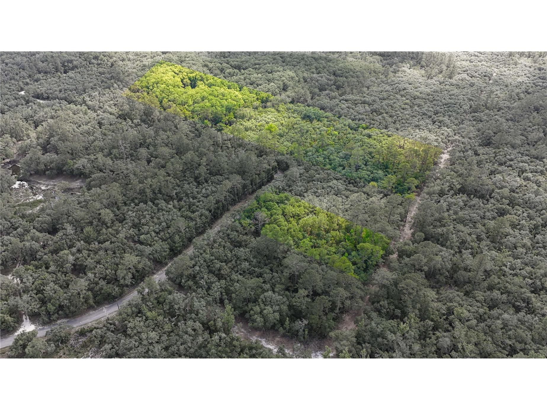 TBD Off Riverview Road #9 Fanning Springs FL 32693 - SUWANNEE RIVER OM719537 image2