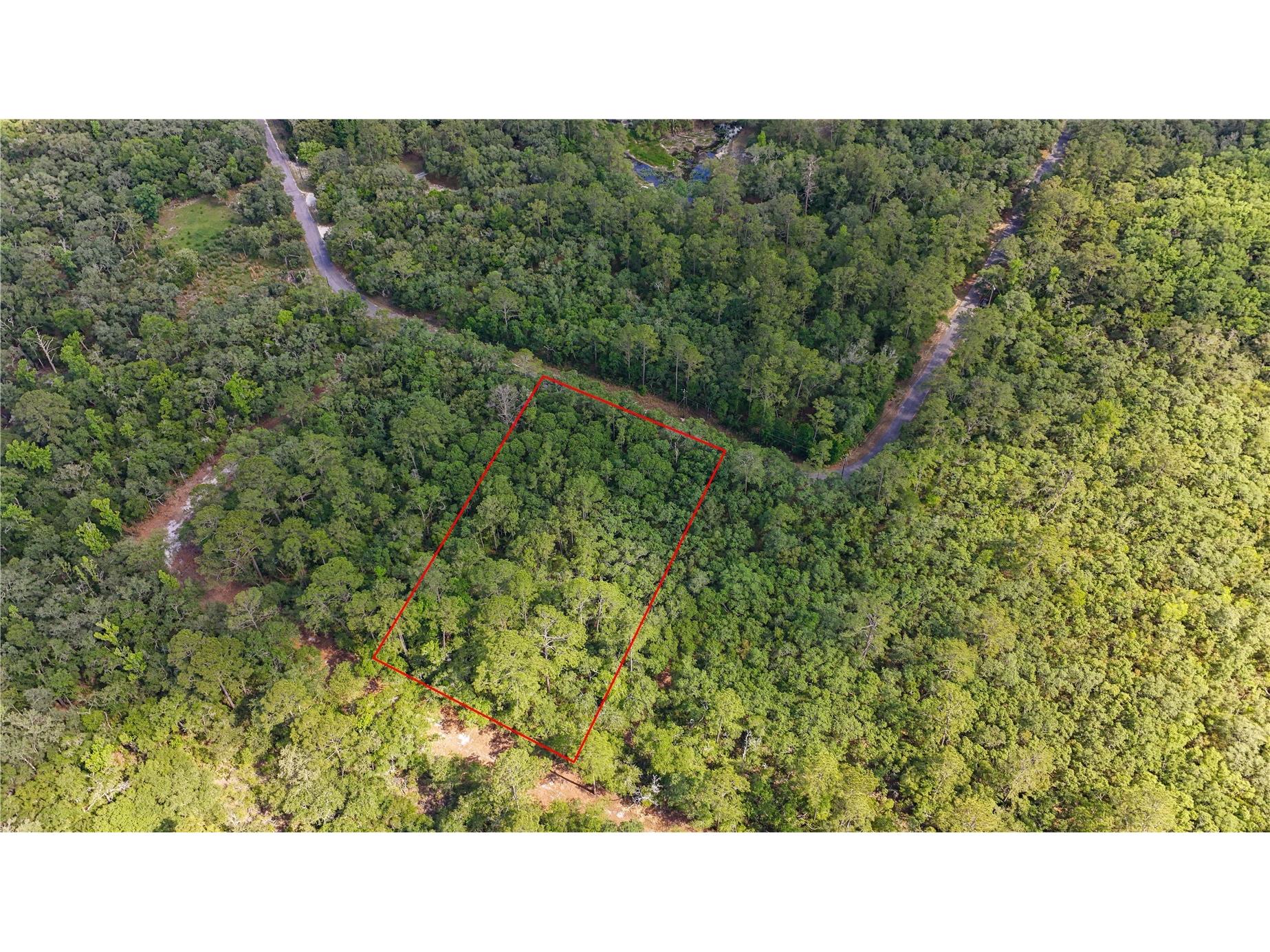 TBD Off Riverview Road #9 Fanning Springs FL 32693 - SUWANNEE RIVER OM719537 image20