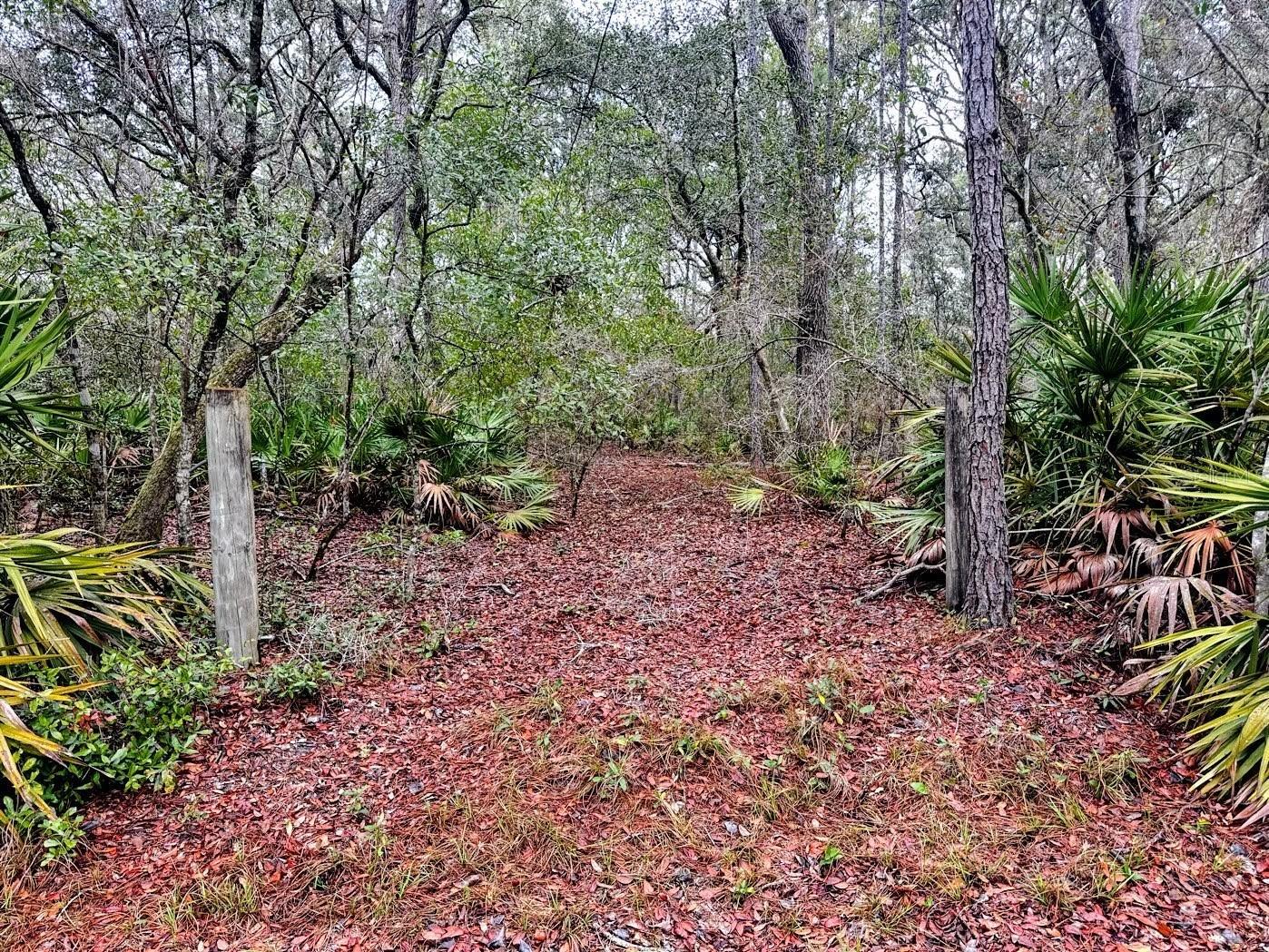 TBD Off Riverview Road #9 Fanning Springs FL 32693 - SUWANNEE RIVER OM719537 image21