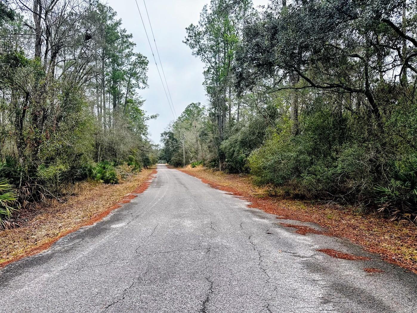 TBD Off Riverview Road #9 Fanning Springs FL 32693 - SUWANNEE RIVER OM719537 image22