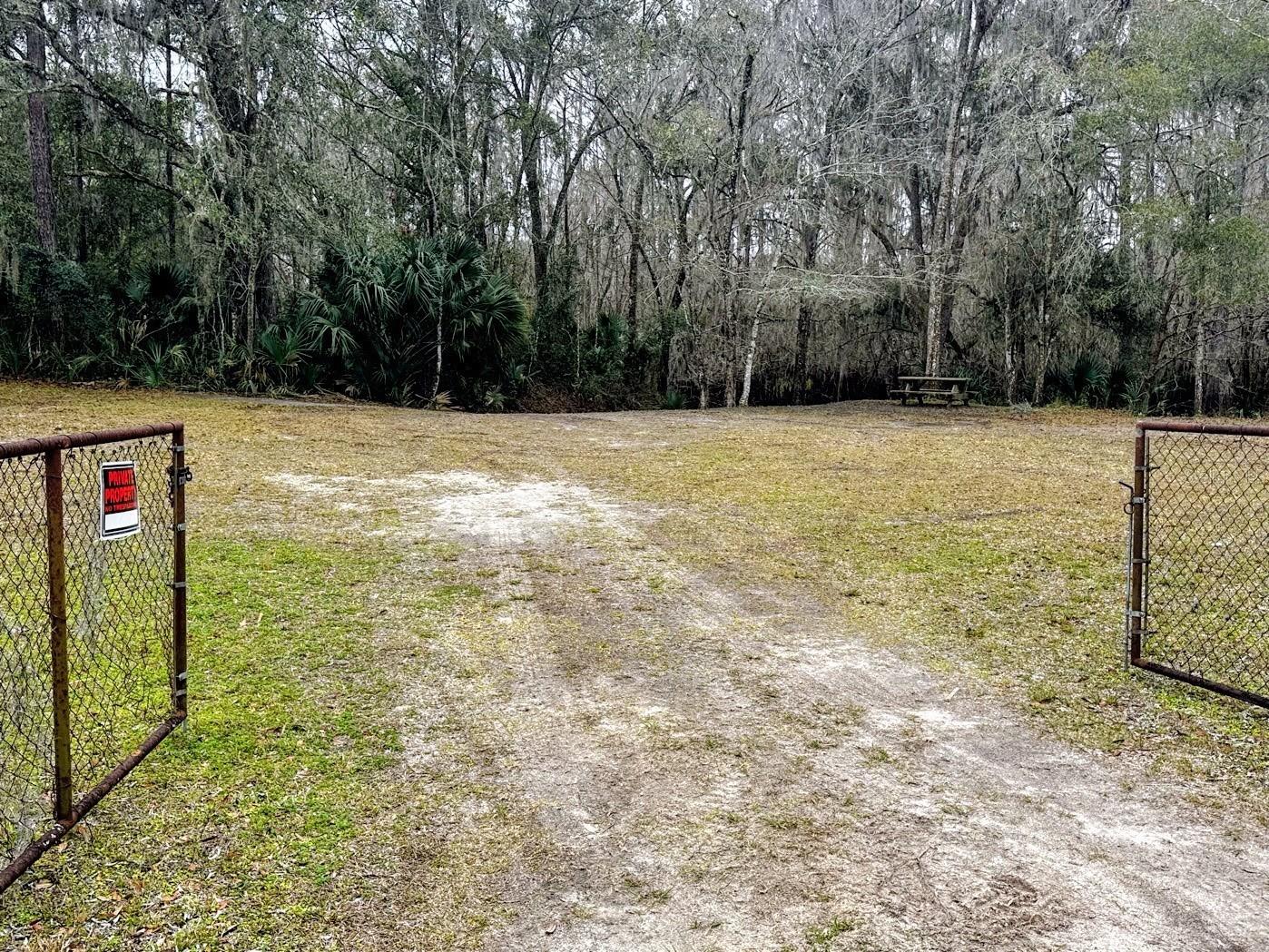 TBD Off Riverview Road #9 Fanning Springs FL 32693 - SUWANNEE RIVER OM719537 image27