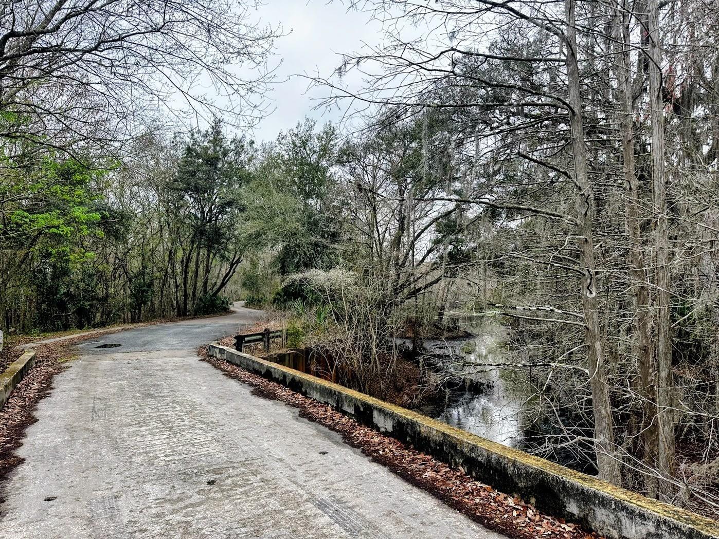 TBD Off Riverview Road #9 Fanning Springs FL 32693 - SUWANNEE RIVER OM719537 image29
